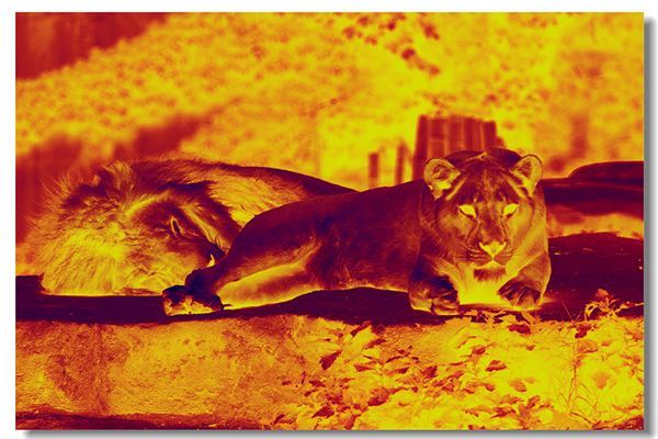 红外热成像仪的国内格局分析